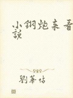 小钢炮来看我小说