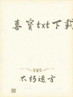喜宝txt下载