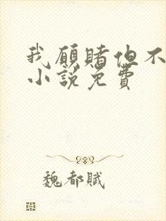 我愿赌但不服输小说免费