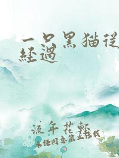 一只黑猫从眼前经过