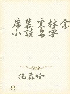 席慕寒林念儿的小说名字