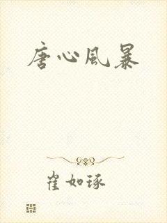 唐心风暴