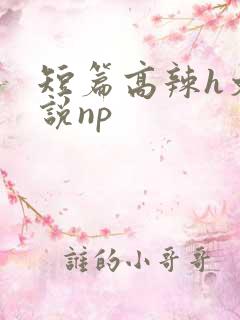 短篇高辣h文小说np