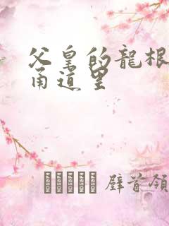 父皇的龙根在我甬道里