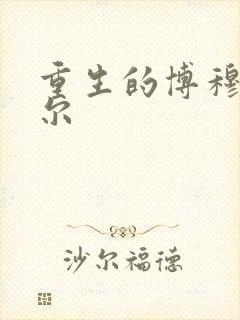 重生的博穆博果尔