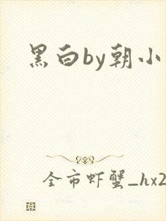 黑白by朝小诚