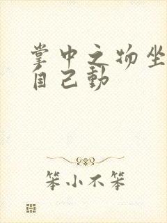 掌中之物坐上来自己动