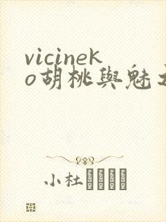 vicineko胡桃与魅之恶魔