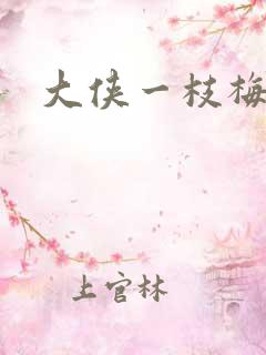 大侠一枝梅