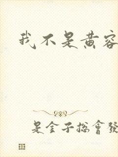 我不是黄容