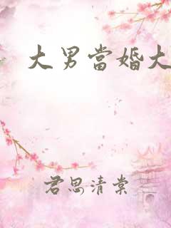 大男当婚大结局