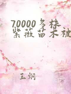 70000多株紫薇苗木被强毁