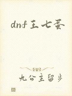 dnf王七蛋