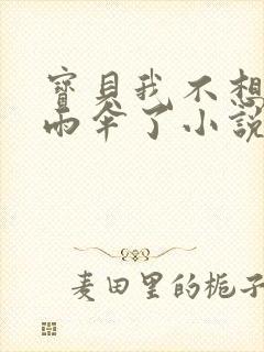 宝贝我不想带小雨伞了小说