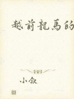 越前龙马的小说