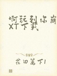 啊玩到你崩溃TXT下载