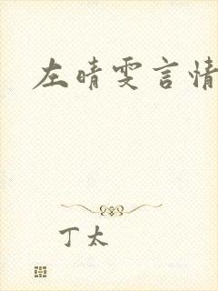 左晴雯言情小说