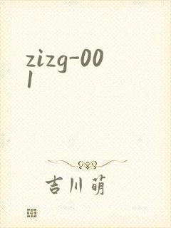 zizg-001