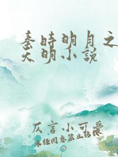 秦时明月之夜尽天明小说
