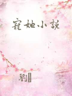 宠她小说