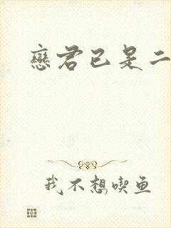 恋君已是二十年