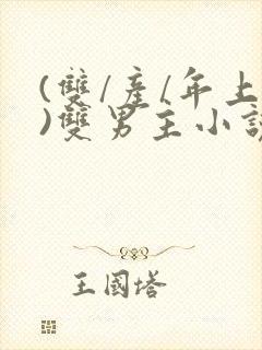 (双/产/年上)双男主小说