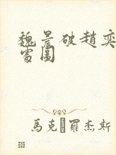 魏晨破赵奕欢的处图