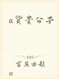 a货贵公子