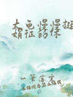 大龟慢慢挺进张娟征的休