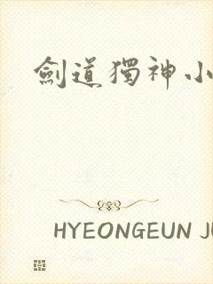 剑道独神小说