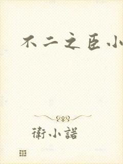 不二之臣小说