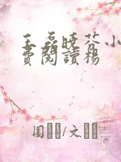 王磊晓芬小说免费阅读杨