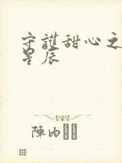 守护甜心之暗夜星辰