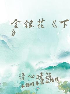 金银花《下厨房》