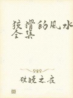 狡猾的风水相师全集