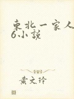 东北一家人1一6小说