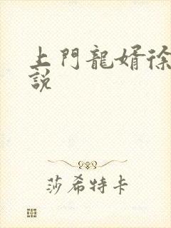 上门龙婿徐阳小说