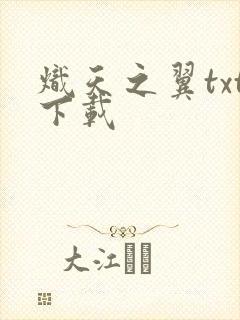 炽天之翼txt下载