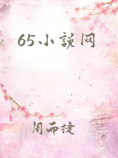 65小说网