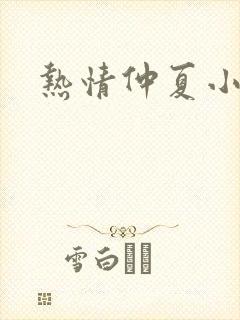热情仲夏小说