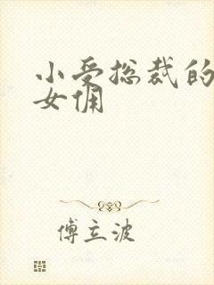 小受总裁的野蛮女佣