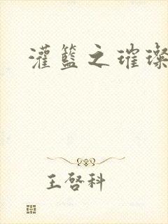 灌篮之璀璨生涯