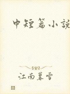 中短篇小说集