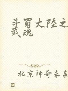 斗罗大陆之三生武魂