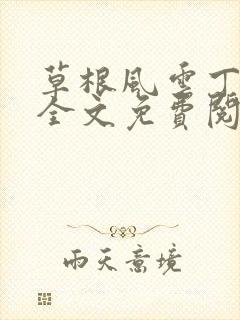 草根风云丁长生全文免费阅读