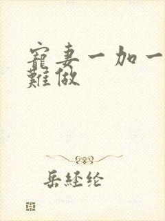 宠妻一加一老婆难做