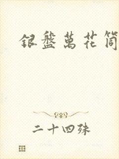 银盘万花筒小说