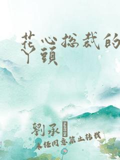 花心总裁的小小丫头