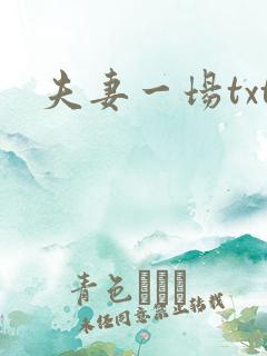 夫妻一场txt
