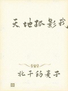 天地孤影我独行